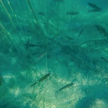 בית נופש In - Miljevci *