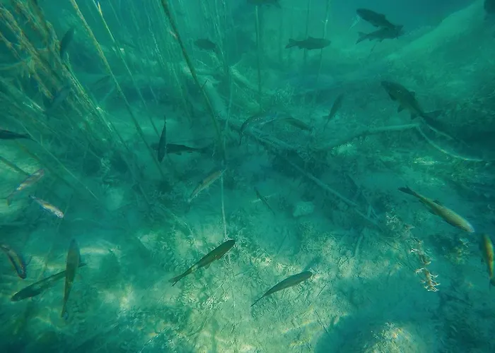 Vikendica In - Miljevci *